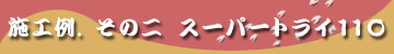 �{�H�Ⴛ�̂Q�@�X�[�p�[�g���C110
