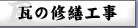�������k��B�s�֖̊劢�Y�Ɓu���̏C�U�H���v