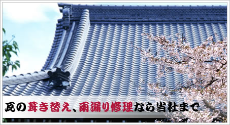 ���̕����ւ��A�J�R��C���Ȃ瓖�Ђ܂�