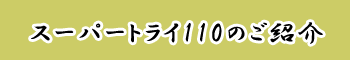 �X�[�p�[�g���C110�̂��Љ�@�O�B���E�ΏB��