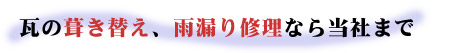 ���̕����ւ��A�J�R��C���Ȃ瓖�Ђ܂�